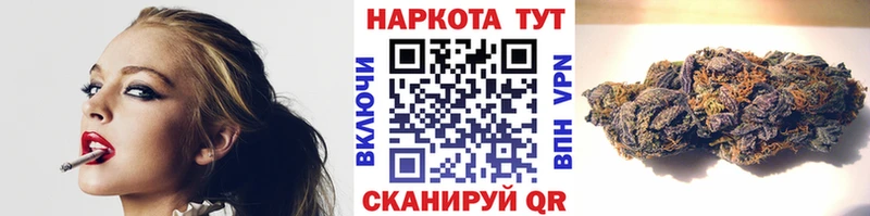 Где найти наркотики Бородино ГАШИШ  АМФЕТАМИН  Alpha PVP  Меф  Бошки Шишки 