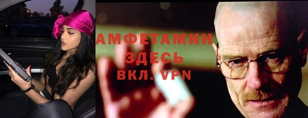 молекула духа Бородино