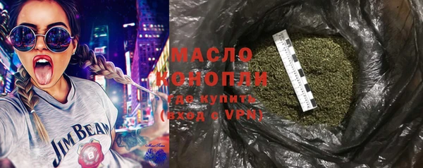молекула духа Бородино