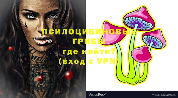 прущий лед Пересвет