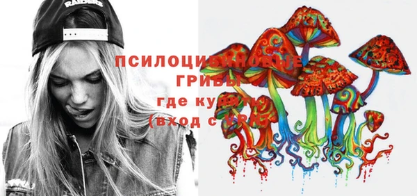 прущие крисы Переславль-Залесский