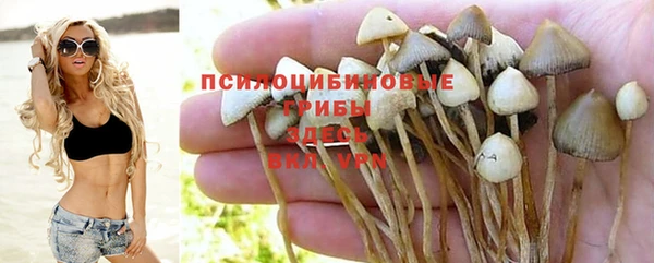 прущий лед Пересвет